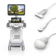 Siemens Acuson Maple