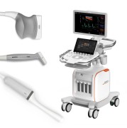 Siemens Acuson Redwood