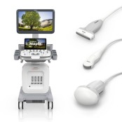 Siemens Acuson Maple