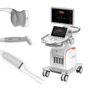 Siemens Acuson Redwood