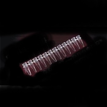 0.2ml PCR 12-strip tubes - Natural (80 p.)