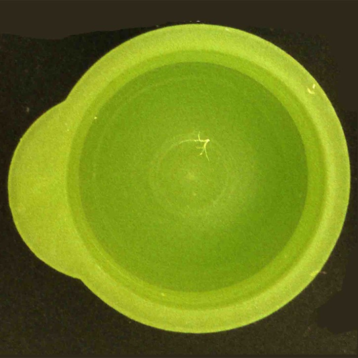 15,2 mm Re-Kappen, grün (1000 St.)
