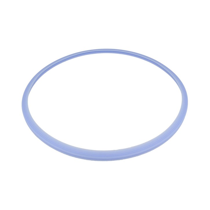 Silikon-Türdichtung für Euronda Autoklaven (1 Stck)  für E5, E7, E9, E10