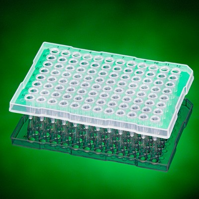 96 Well Semi-Skirt LP PCR Plate (100 p.)