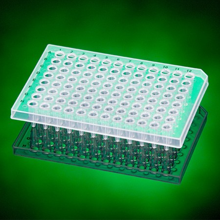 96 Well Semi-Sk Straight Side PCR Plate (100 p.)