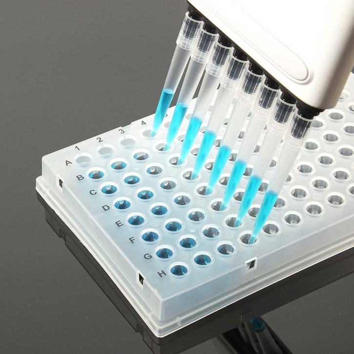 96 Well Skirted PCR Plate, Natural (100 p.)