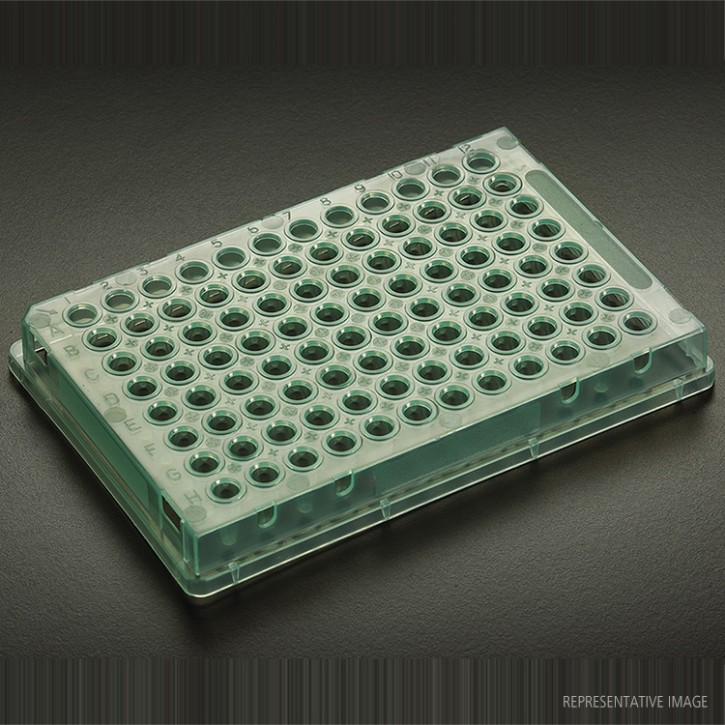 96 Well Skirted PCR Plate Natural (10p.)