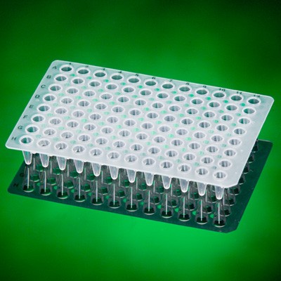 96 Well Unskirted LP PCR Plate (100 p.)