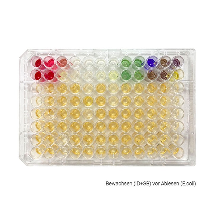 MICRONAUT-UR Platten (ID+AST; 100 je 1 Test) Identifikation und Antibiogramm - EUCAST-konform