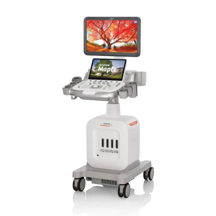 Ultraschallgerät Siemens Acuson Maple