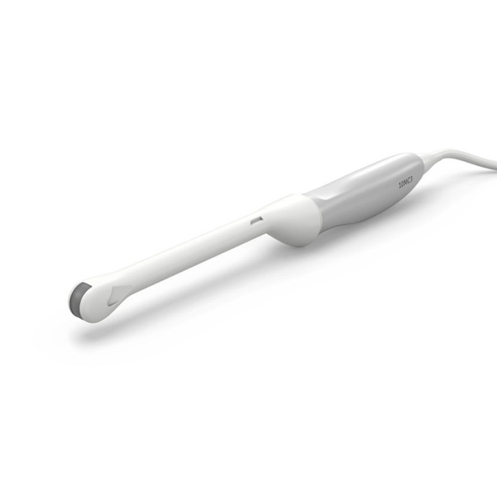 Siemens Endocavitärsonde 10MC3 zu Acuson Maple