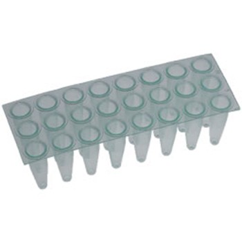 Amplify 24 well PCR plate, Natural (50 p.)