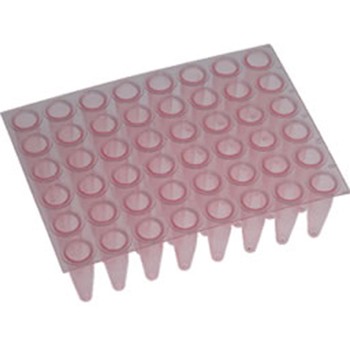 Amplify 48 well PCR Plate Natural (50 p.)