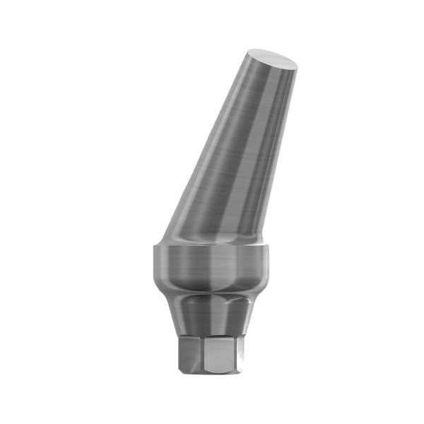 Aufbaupfosten 25°, inkl. Halteschraube