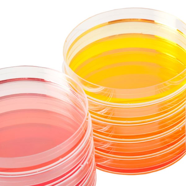 Bacillus subtilis Agar pH 8,0 (1VE=40 Platten) ATCC 6633 für Hemmstofftest Bacillus subtilis Agar pH 8,0 (1VE=40 Platten) ATCC 6633 für Hemmstofftest