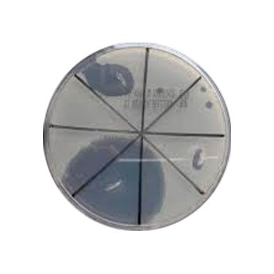 Hemmstofftest Hemmstofftest