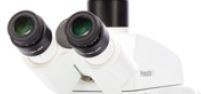 Binokul. Fototubus 25°/20 (50:50) für Primostar 3 Mikroskop