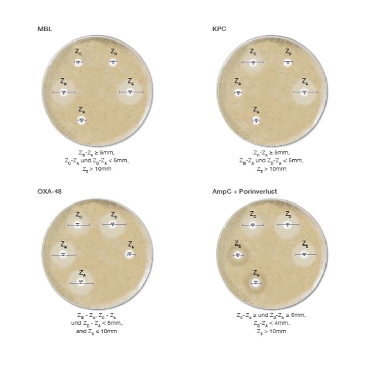 Carba Plus D73C (5x 50 Bl.) Zum Nachweis von Carbapenemasen (CPE) inkl. OXA-48