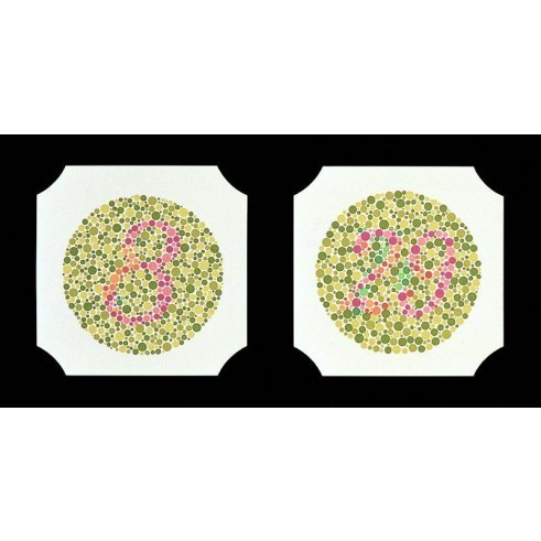 24 Farbtafeln nach Ishihara Standardset, groß