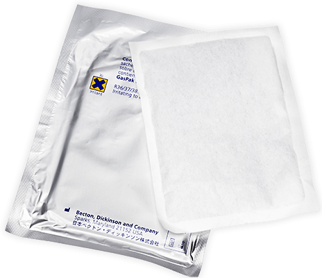 GasPak EZ Anaerob-Entwickler + Ind (20 Tütchen)