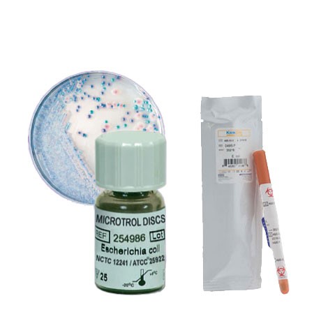 Klebsiella pneumoniae ATCC 13883