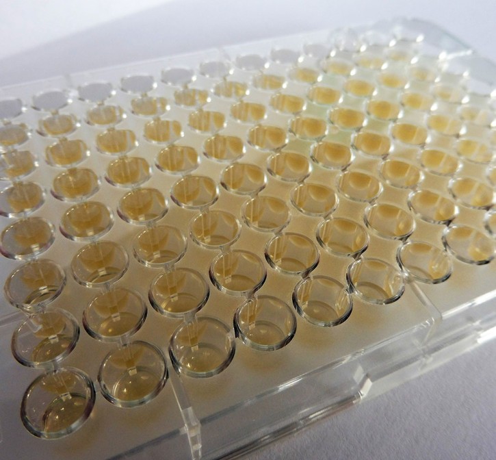 MICRONAUT-S ß-Lactamases (40 Platten) Erw. Antibiogramm (s.auch EBM 32774)