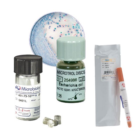 Ps. aeruginosa ATCC 27853