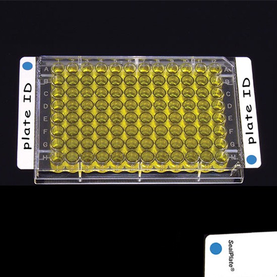 Clear Sealing Film SealPlate® Colortab™ Blue, Non-Sterile, (100p.)