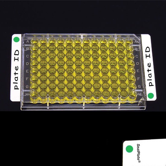 Clear Sealing Film SealPlate® Colortab™ Green, Non-Sterile, (100p.)