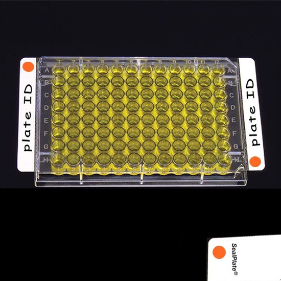 Clear Sealing Film SealPlate® Colortab™ Orange, Non-Sterile, (100p.)