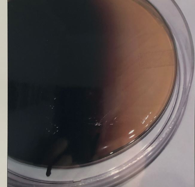 Enterokokken Agar 20 Stk. online kaufen im AUROSAN Shop