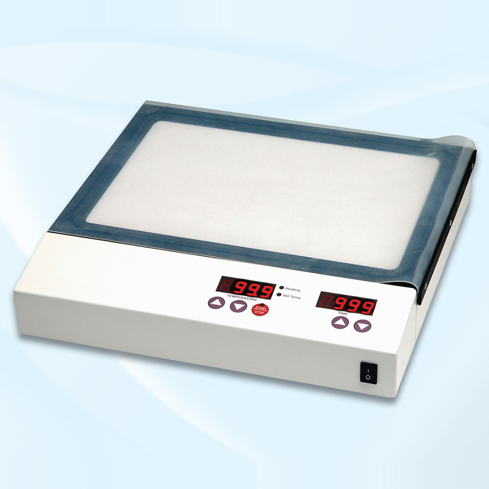 Cellophane sheets for Gel Drying 30x30cm (100p.)MDAL01042