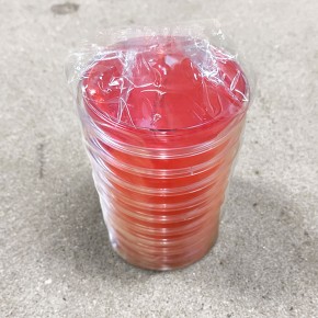 mannit Sodiumchlorid agar (20 pl)