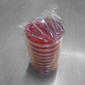 MacConkey/Columbia-CNA biplate agar - 20 pcs.