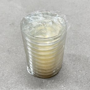 Sabouraud Agar with CMP and Cyclohex - 20 Pl