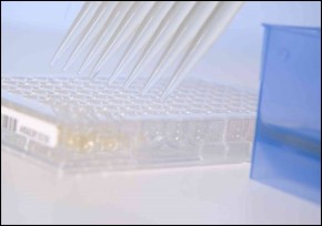 8-channel pipettor Picus 2, 50-1200µl