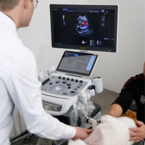 SIUI V75 Ultrasound system (vetenary)