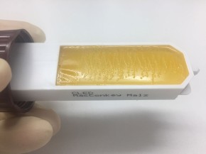 dip-M (cap: brown) - 10 pcs.