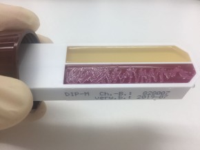 dip-M (cap: brown) - 10 pcs.